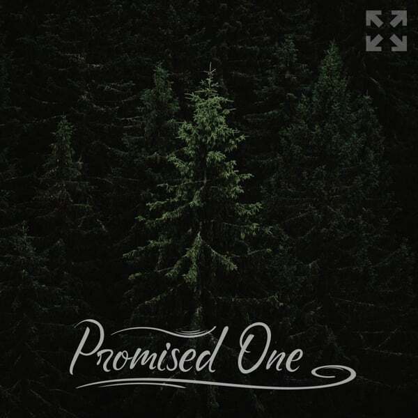 Cover art for Promised One